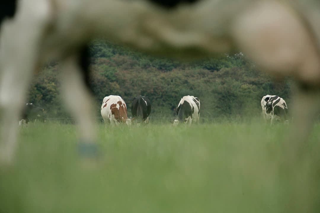 Foto: Jan Willem Schouten