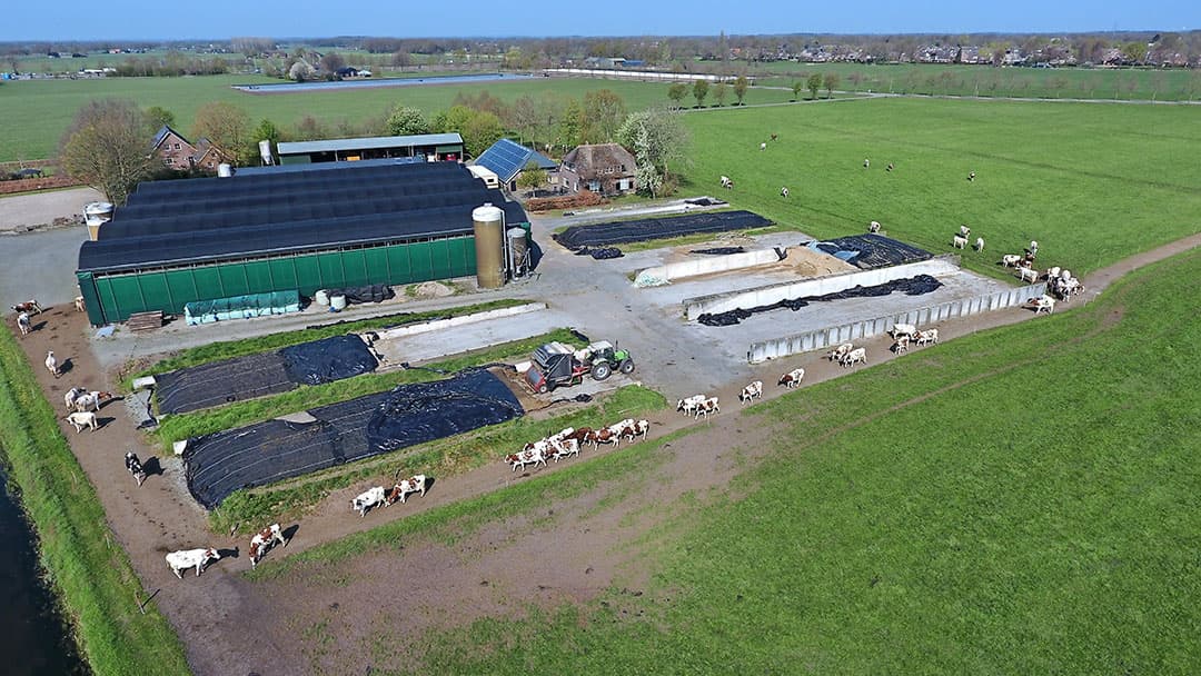 Het bedrijf werd zo fors extensiever en ging van 30.000 naar 17.500 melk per hectare. In een normaal jaar is Ogink nu qua gras zelfvoorzienend, hij moet alleen 5 hectare mais bijkopen. Die extensievere bedrijfsvoering bracht weidegang weer dichterbij.