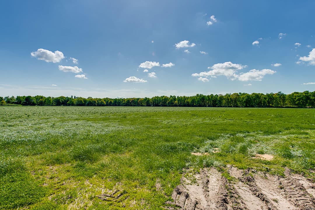 Het bedrijf is grotendeels bij de tijd. Een koper moet de komende jaren nog wel investeren in het emissiearm maken van de stallen en van 1 stal asbest saneren.