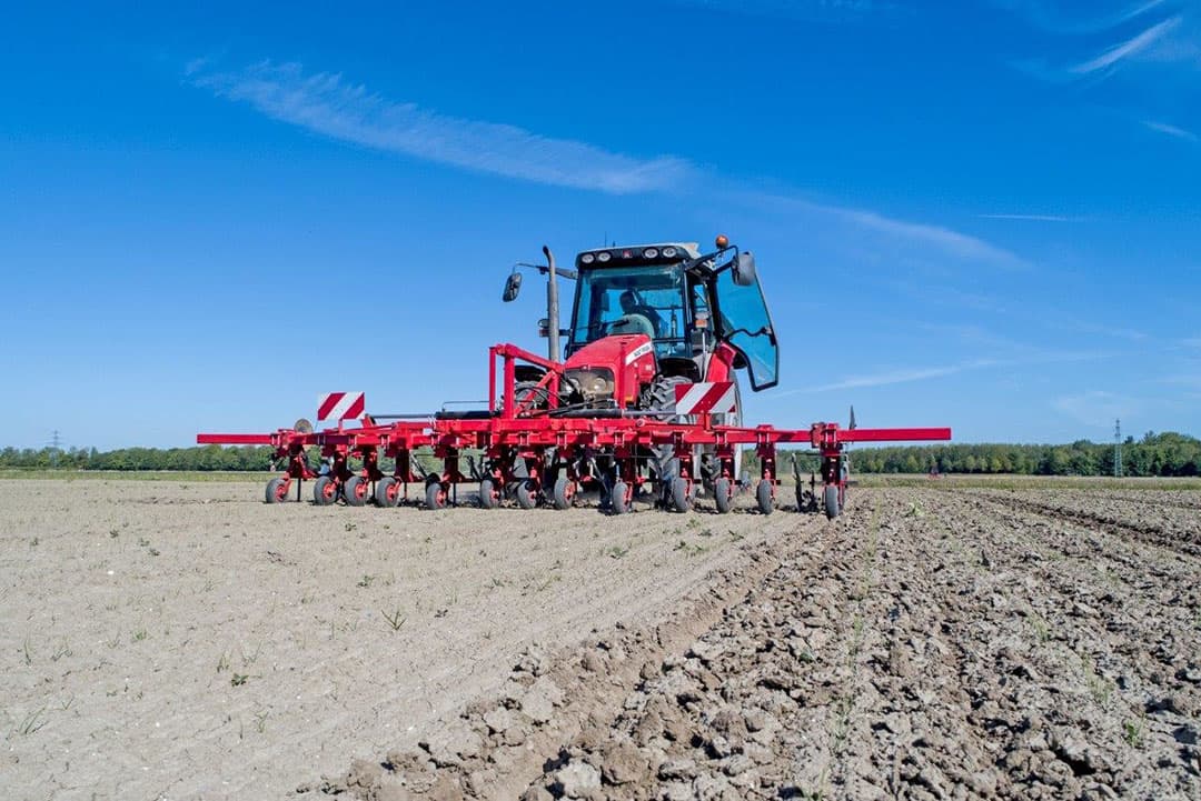 Teeltcombinatie Henry van de Woerd en Peter Eilander uit Tollebeek en Ens (Fl.) is voorzichtig begonnen met het mechanisch wieden en eggen van 11 hectare biologische zaaiuien van het ras Hylander. Alberto van Doldersum stelt de schoffel af.