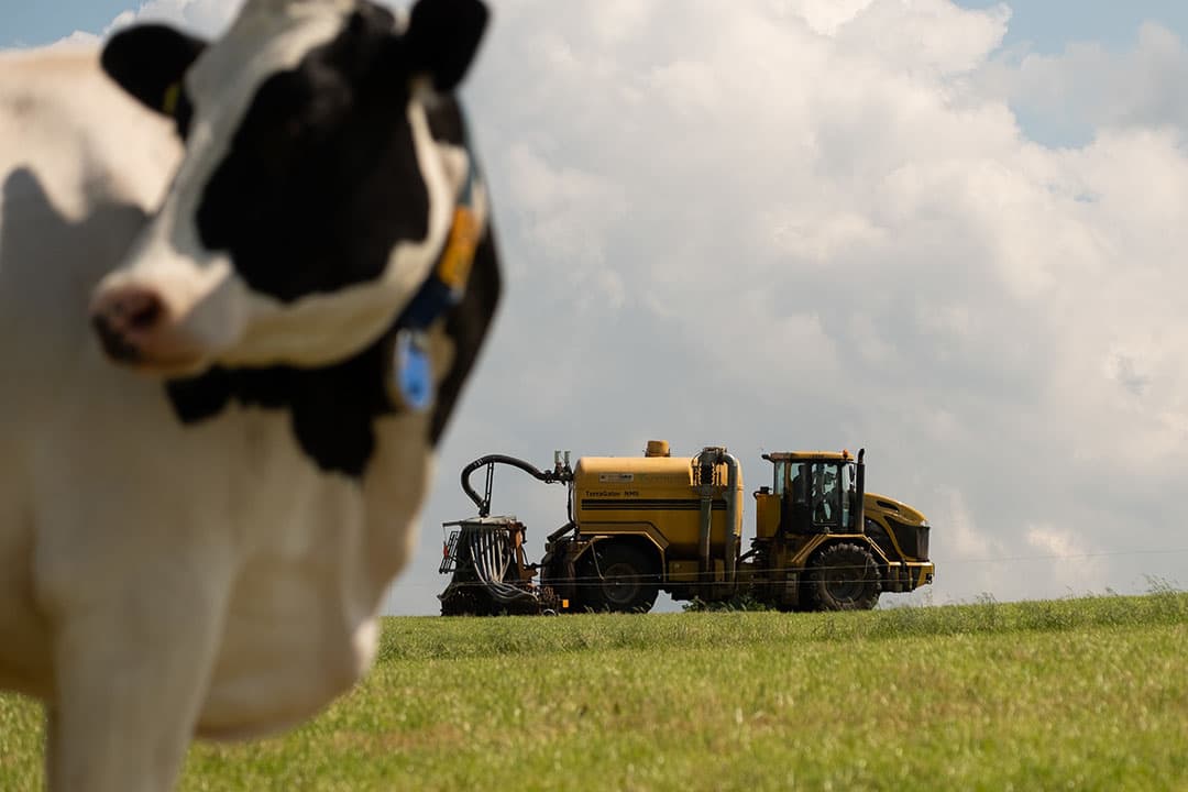 In de Verenigde Staten is het nat, erg nat. Zoals hier een perceel mais in Texas, dat helemaal blank staat. - Foto: EPA