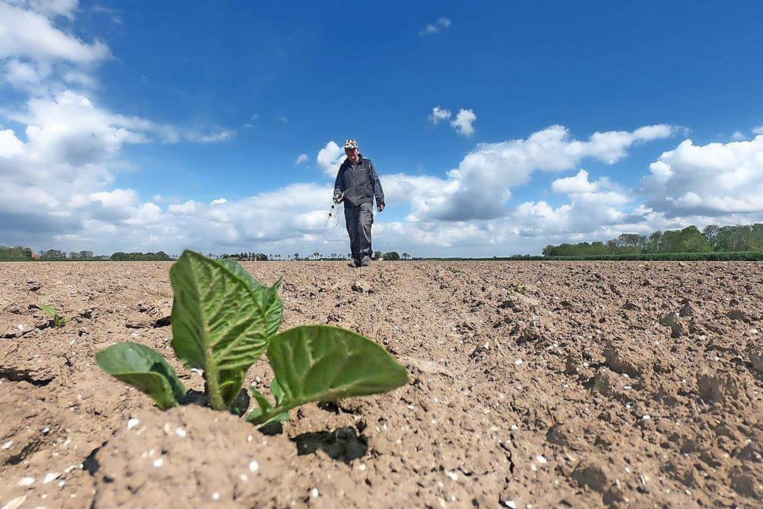 Van Steen heeft zich gespecialiseerd in bestrijding van aardappelopslag in verschillende gewassen. "We hebben 2 bietenmachines, 2 voor uien en eentje voor de peenteelt", zegt Van Steen. "De multi-strike is een uitvinding van mijn vader. Steketee heeft deze geproduceerd en er later de multi-spray van gemaakt; een tunneltje over de rij met een dweil tussen de tunnels."