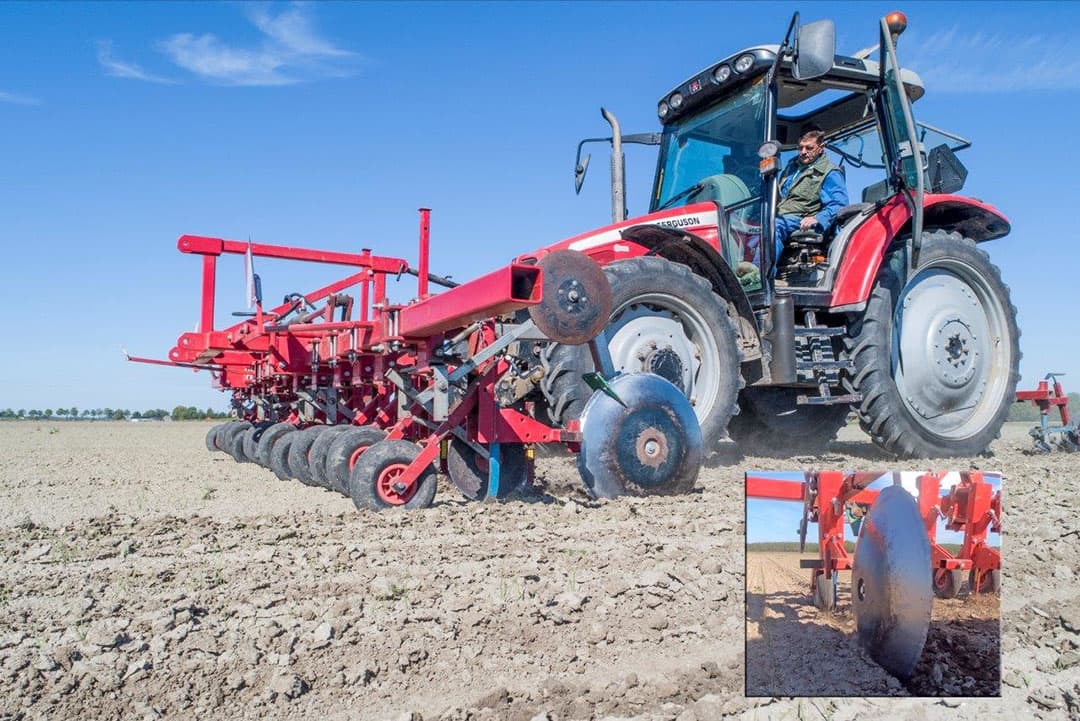 Er moet rustig gereden worden om de uien te sparen. Na het schoffelen zien we de rijtjes wat duidelijker tussen de bewerkte paden.