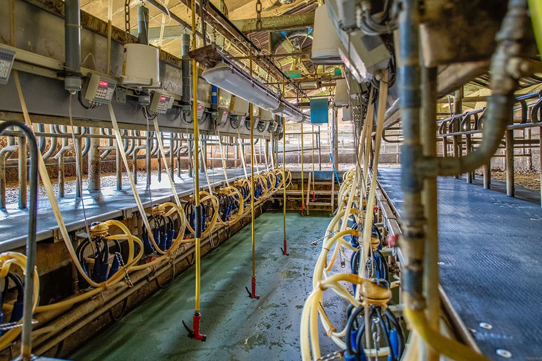 Op het erf staan stallen met bouwjaren variërend van 1967 tot 2008, waaronder stallen voor koeien en jongvee en een open machineloods.