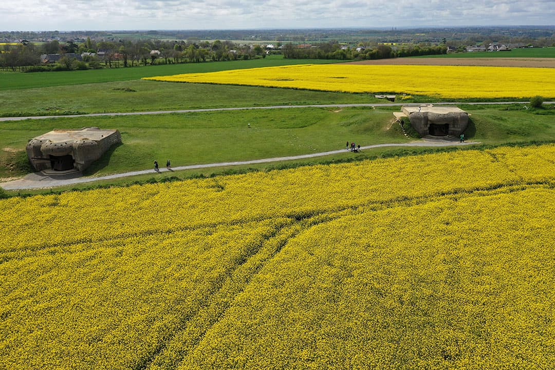 Loonbedrijf Feunekes in het Groningse Blijham beregent een perceel overgezaaide suikerbieten. Van de begin april gezaaide bieten waren als gevolg van vraatschade door springstaarten nog geen 20.000 planten meer over. Bij het overzaaien is Vydate toegepast om nieuwe schade te voorkomen. Volgens Hendrik Luth van het loonbedrijf is het afwachten hoe effectief Vydate tegen springstaarten is. Om de bieten een vlotte start te geven en de Vydate goed zijn werk te laten doen, is het perceel na het zaaien eerst gerold en wordt het nu beregend.   Foto: Koos van der Spek