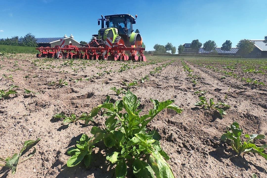 Het nieuwe doek laat zien dat de vloeistof langzaam indringt en het doek doordrenkt raakt met de Roundup-oplossing.