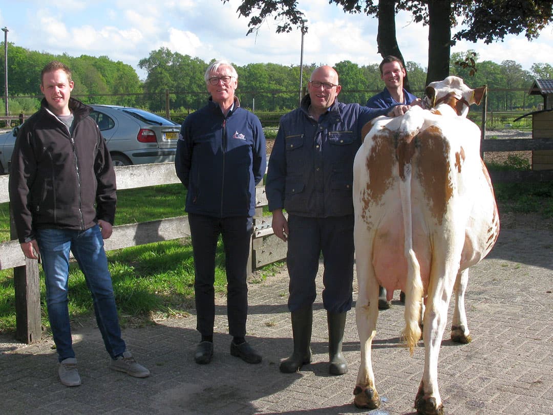 Harry en Erik hebben nog een bijzondere koe in de weide lopen. Hilda 271 moet bijna droog. De 10 jaar oude koe is massaal en groot. Samen met Rozanne zijn het de grootste dieren uit de stal. Omdat beide dieren zo evenredig zijn gebouwd blijven ze handig in de stal. Opstaan en met het handhaven in de koppel hebben ze geen problemen. Naar de NRM kan ze op dit ogenblik niet, dat is duidelijk maar imponerend is ze.