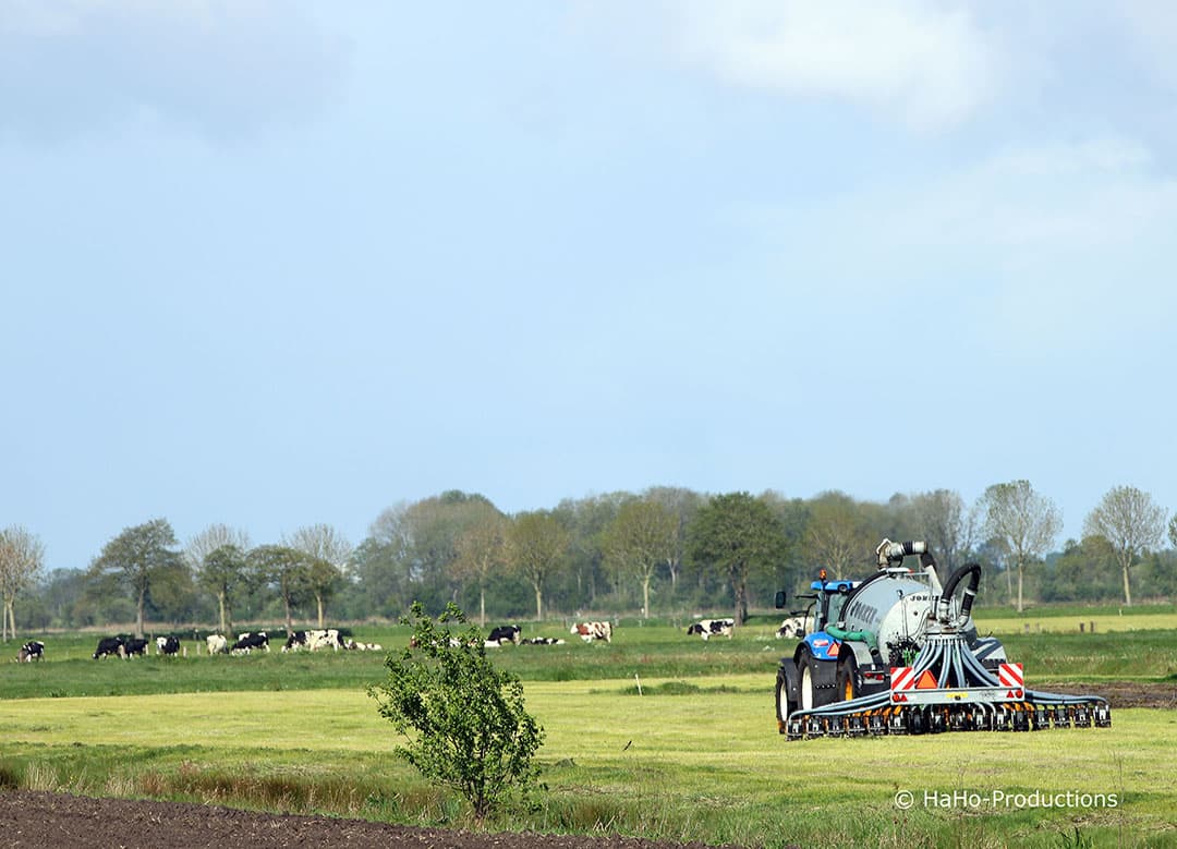Pas op voor overstekende kippen! De kippen van een hobbyboer in Ertingen steken regelmatig de weg over om bij het fonteintje aan de overkant van de weg water te drinken. Dus besloot een mede-bewoner van het dorp om er een kippen-oversteekplaats van te maken. - Foto: AFP