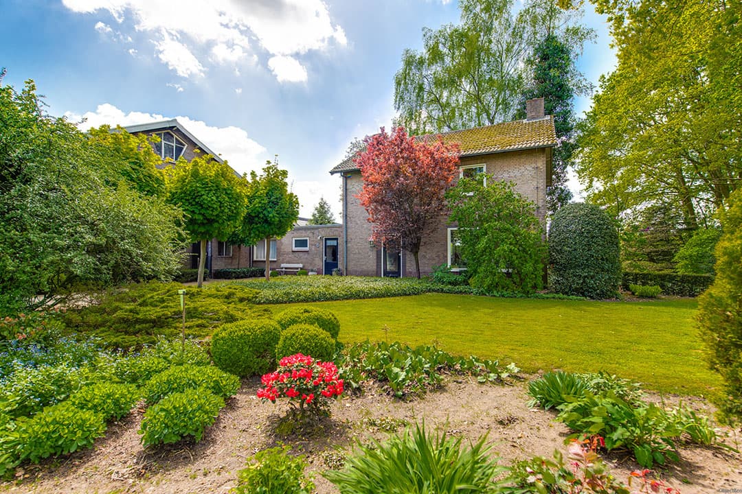 In deze stal is een pot voor koeien na het afkalven. Deze is verbonden met de stal waar de vaarzen en droge koeien lopen en afkalven.