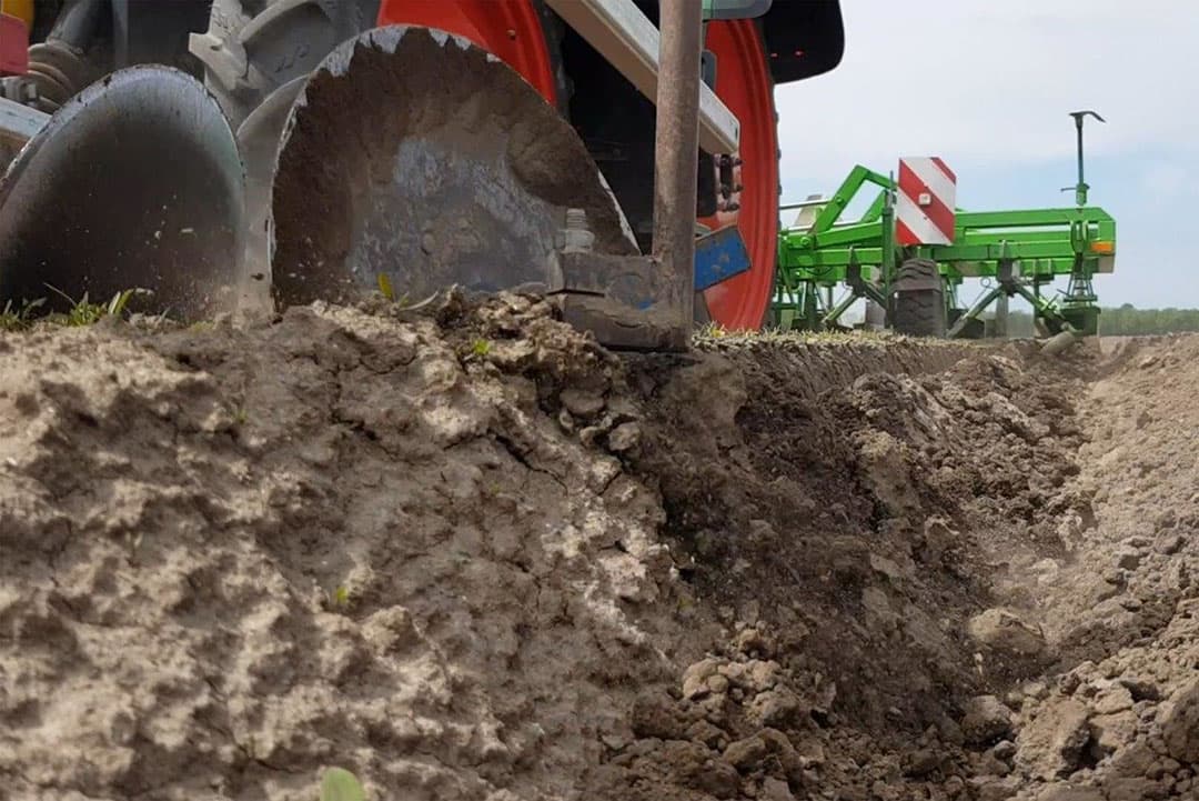 Het streven is om met een week tussentijd om en om 3 tot 4 keer te schoffelen en 3 keer te eggen. Droge omstandigheden zijn goed om onkruid weg te krijgen maar een buitje is volgens Van de Woerd welkom.
