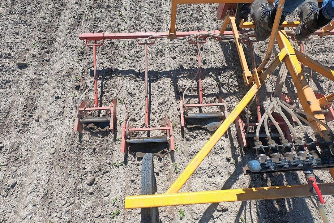 Droog senior is nog regelmatig op het bedrijf te vinden, om wat hand-en-spandiensten te verlenen, zoals het wegwerken van onkruidplanten.