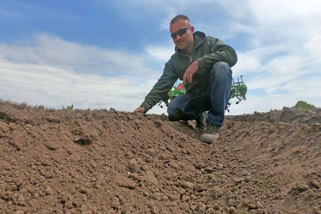 Op hetzelfde perceel egt Gert-Jan Hulsman de uien met een 13,5 meter brede wiedeg.