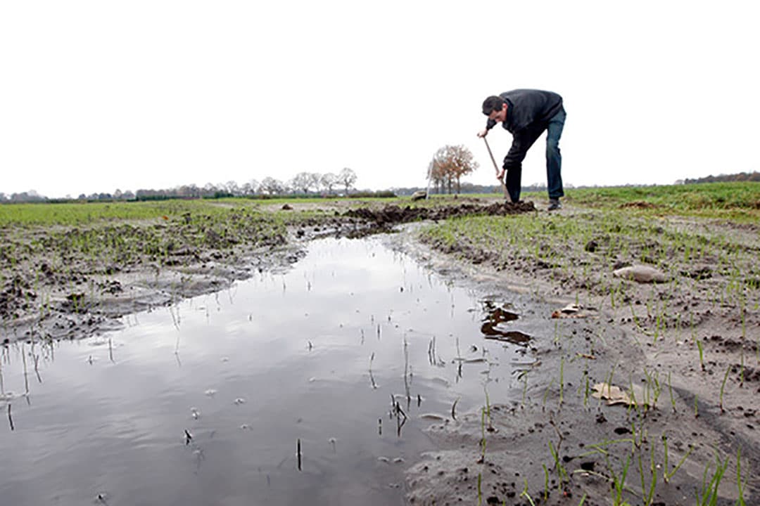 Foto: Bert Jansen
