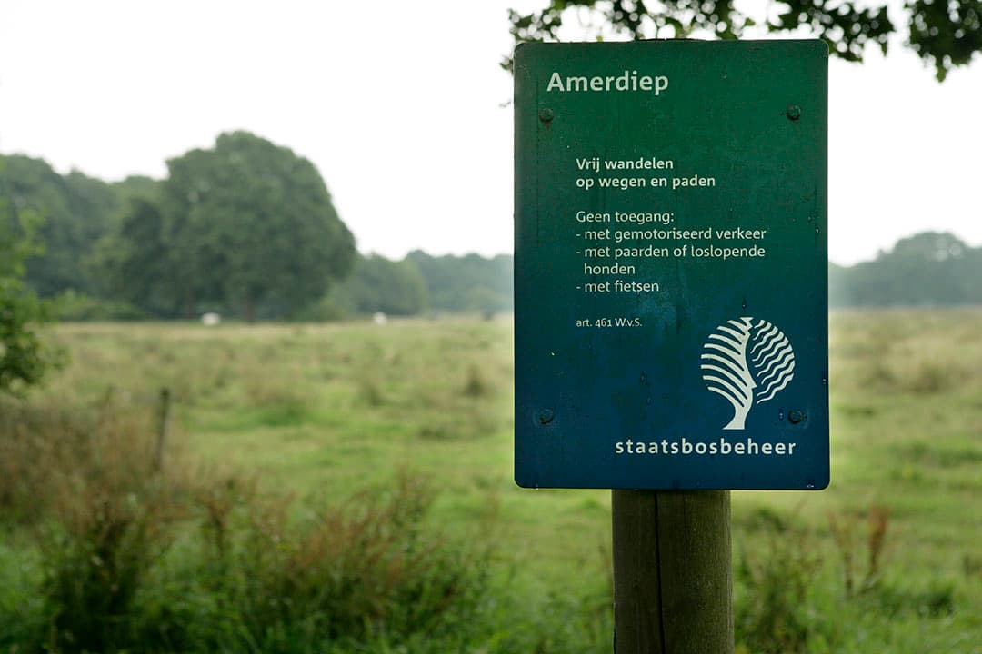 Foto: Jan Willem Schouten