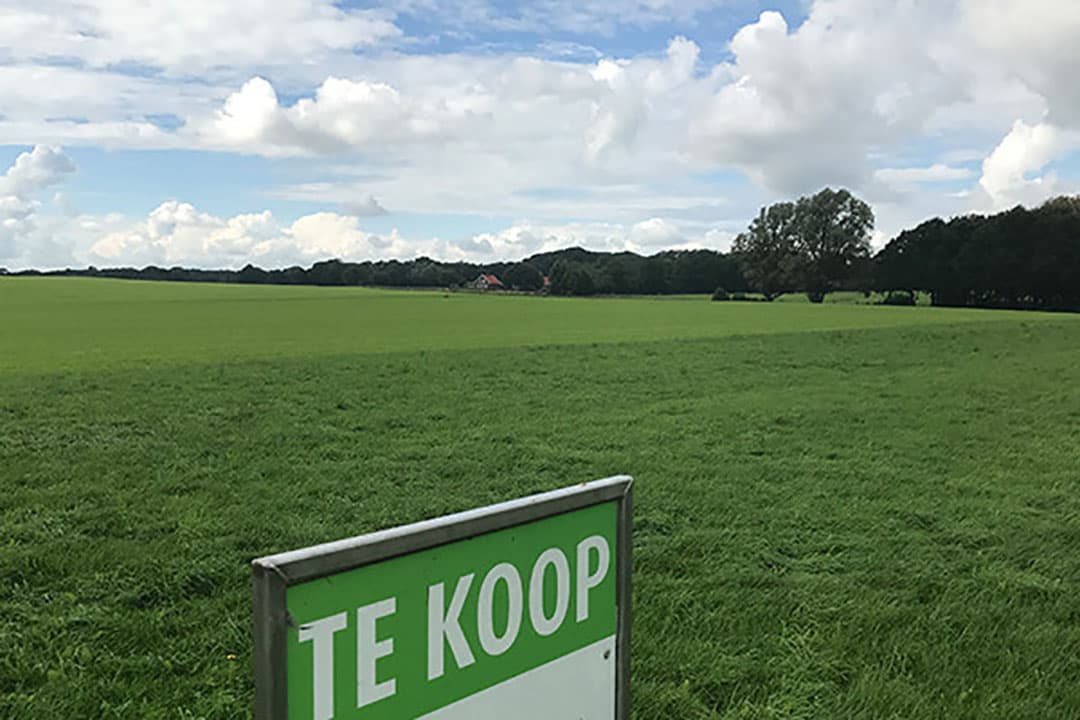 Foto: Martijn ter Horst