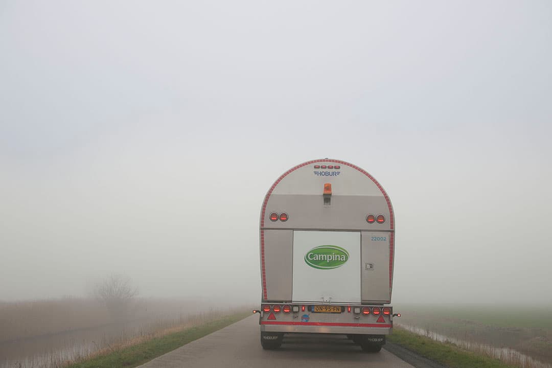 Foto: Mark Pasveer