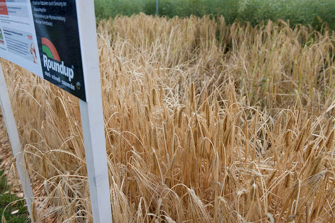 Foto: Boerderij