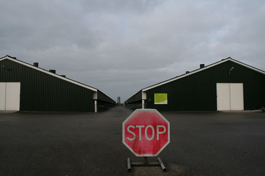 Foto: Hans Bijleveld