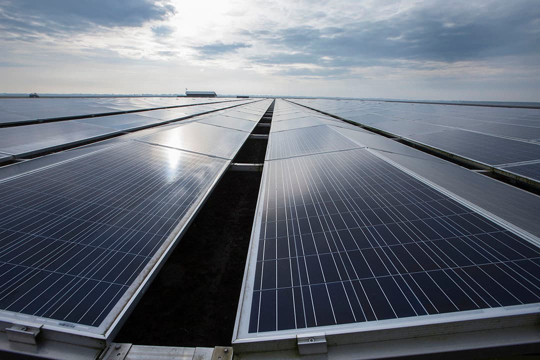 Vermogen van zonneparken stijgt fors in 2018