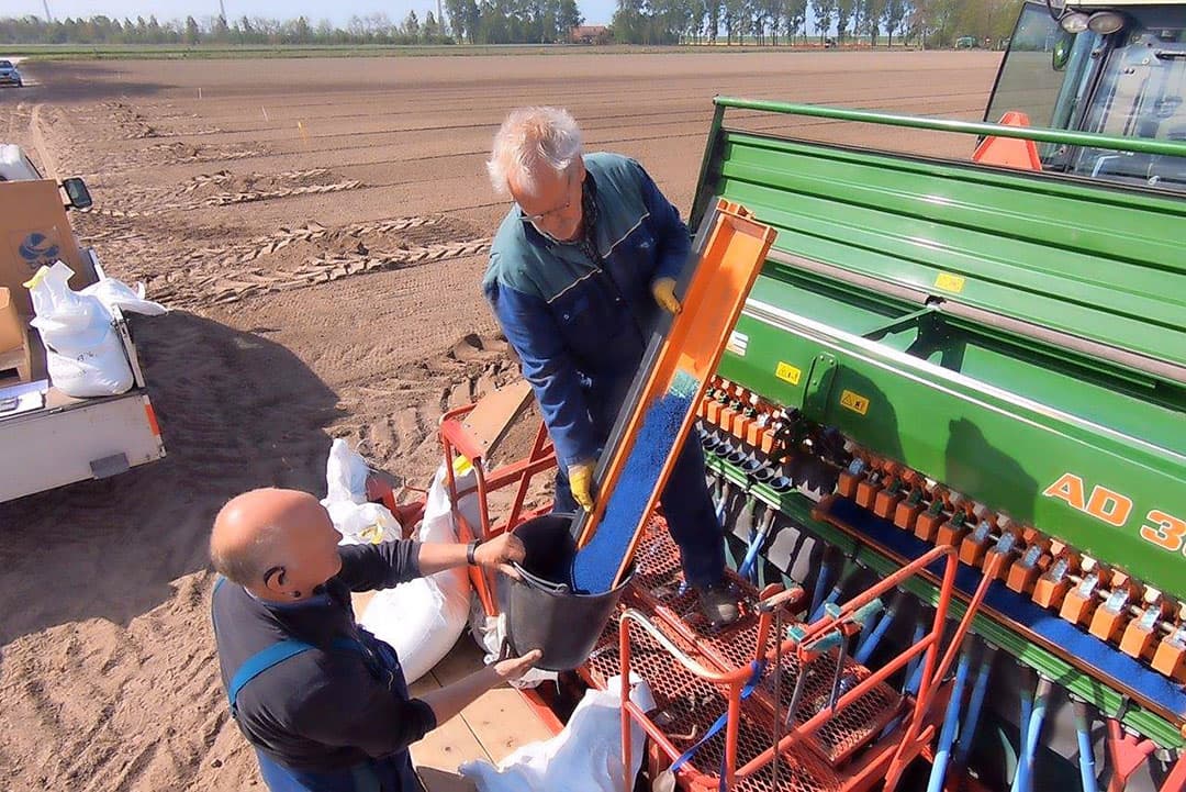Peter houdt de bakken in beweging, zodat ze plaatselijk niet overstromen. Gezien de hoeveelheid die per hectare gezaaid wordt, is de opvangbak redelijk vol bij de afdraaiproef.
