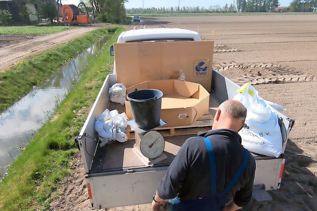 Het zaad wordt in een emmer opgevangen om te wegen.