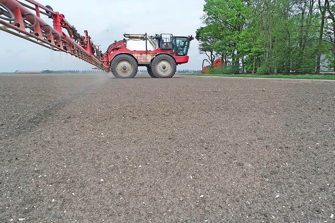 De afnemer van de eerstejaaars plantuitjes is Go Products in Nagele. Dit bedrijf teelt bij meerdere telers verdeeld over Nederland. Voor de spreiding en daarmee meer zekerheid en minder teeltrisico. "We proberen deze week het zaaien af te ronden", zegt Hans Goud van Go Products. "In het noorden doen we dat bijna altijd eind april, vanwege de temperatuur."