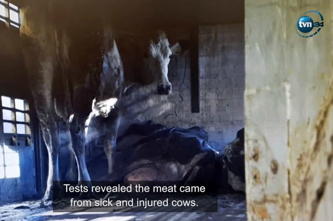 Screenshot video nieuwszender TVN24