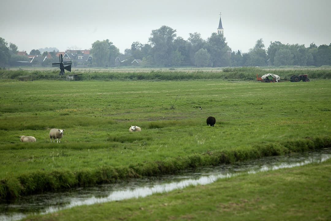 Foto: Mark Pasveer