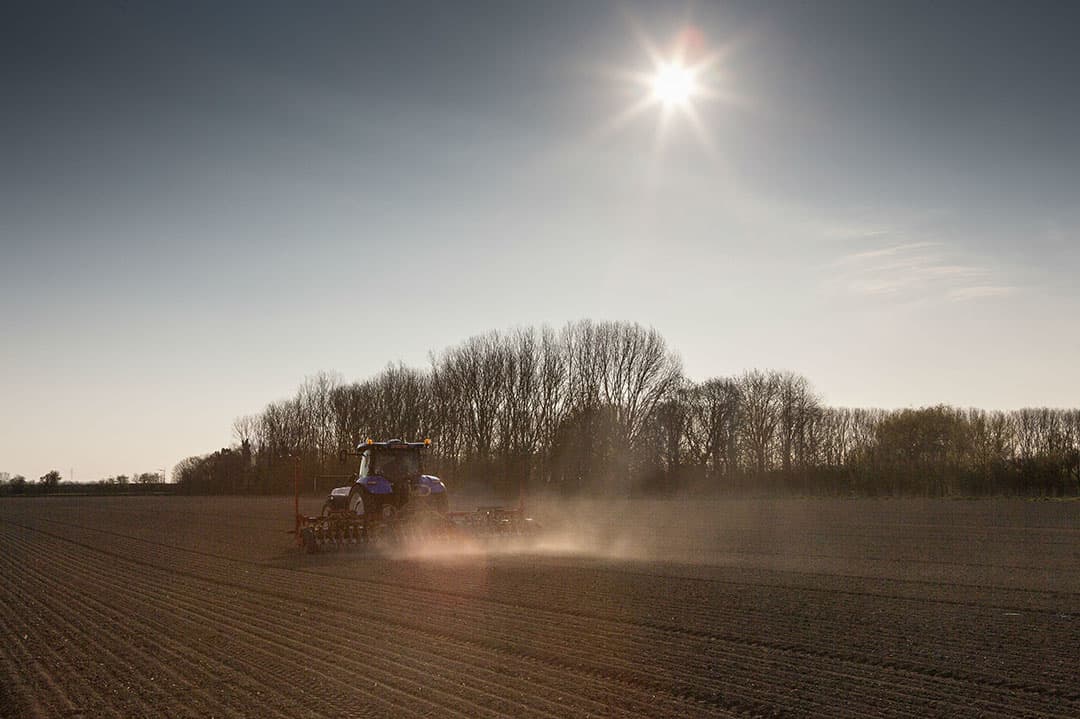 Foto: Peter Roek