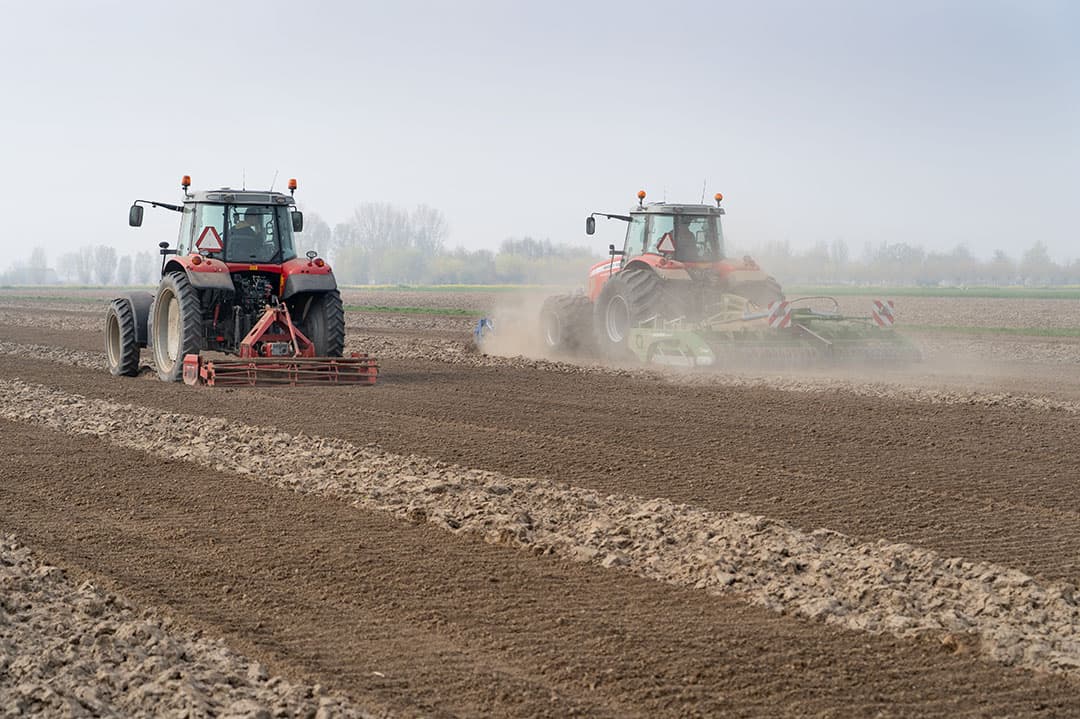 Foto: Jan WIllem Schouten
