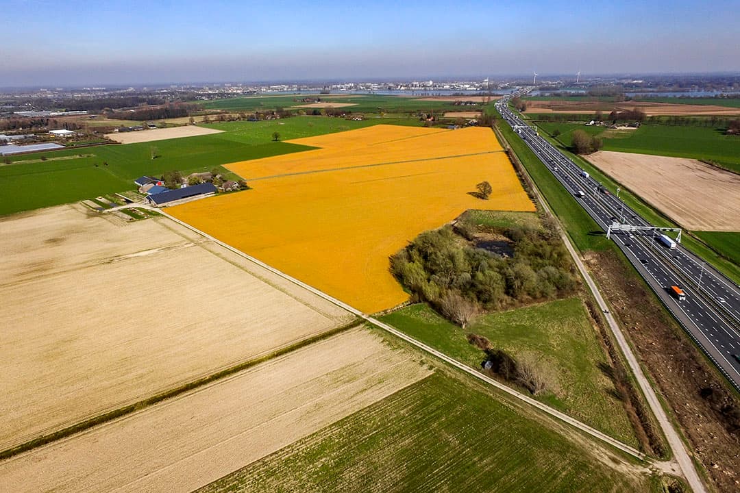 Foto: Ronald Hissink