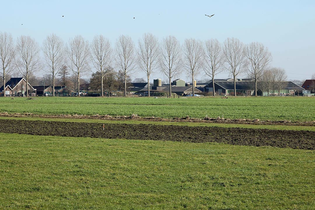 Foto: Henk Riswick