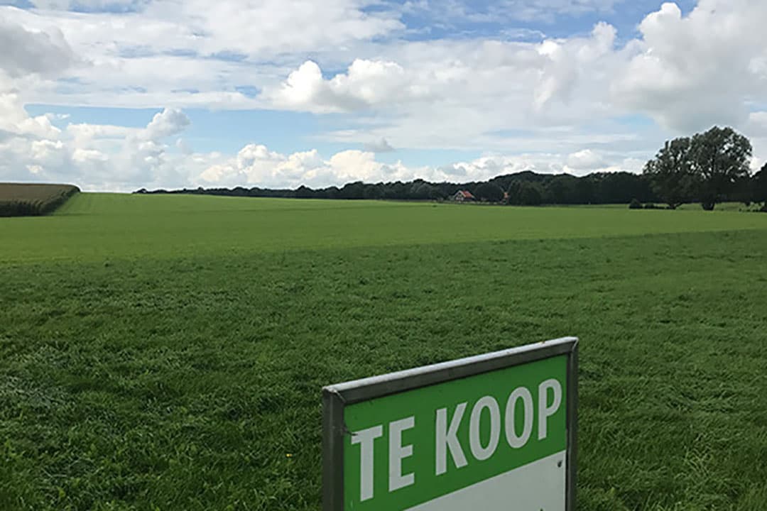 Foto: Martijn ter Horst