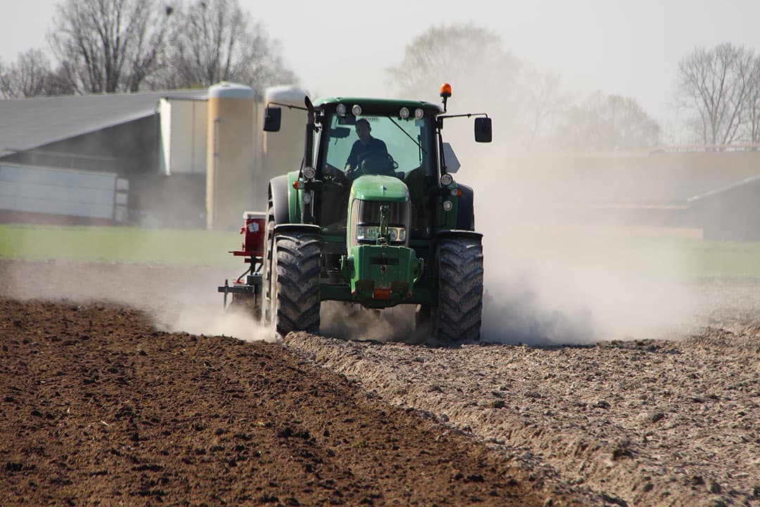 Cichorei is een gewas dat net wat extra aandacht en fingerspitzengefühl vraagt", vat Frijns de cichoreiteelt in een notendop samen. "In een doorsnee jaar haal ik een hectareopbrengst van circa 60 ton met 10 ton inuline. Bij een dergelijke opbrengst is het een interessante teelt. Je moet toch een opbrengst van minimaal 50 ton behalen wil het financieel renderen."