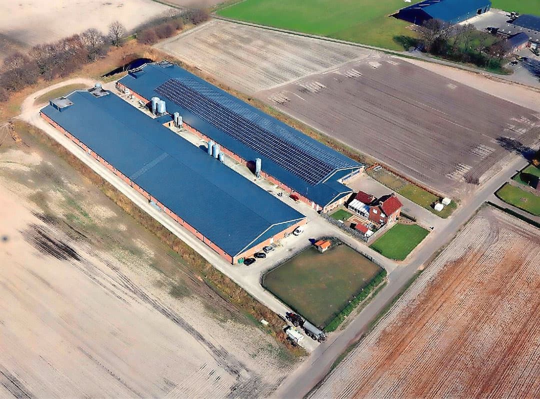 Op het ruime bouwblok staan 2 moderne stallen, gebouwd in 2011 en 2012. Deze stallen zijn efficiënt ingericht, met korte looplijnen. Er is capaciteit voor 1.500 zeugen en 7.200 biggen. De stallen voldoen aan alle milieueisen voor 2028. - Foto: Theo Brummelaar