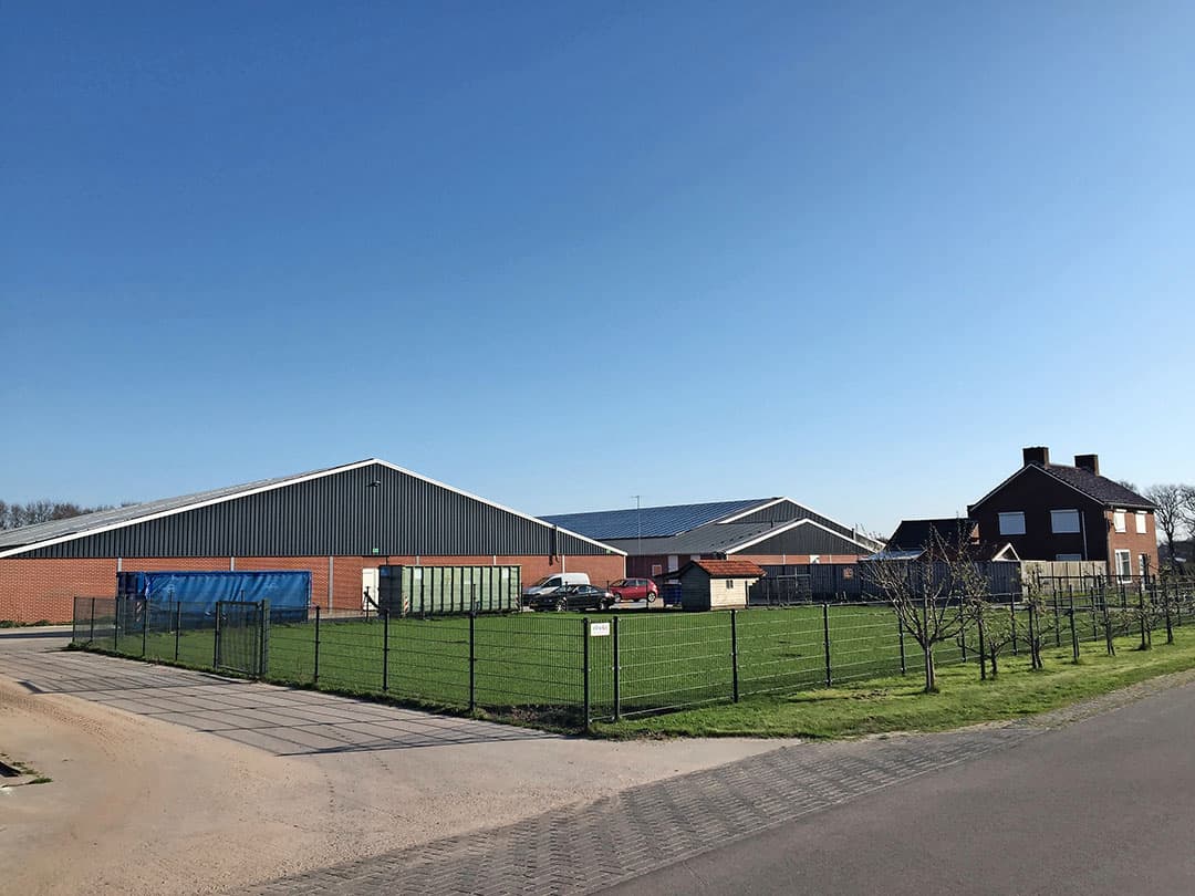 In Merselo (L.) staat een groot, modern zeugenbedrijf met 3,6 hectare te koop. De vraagprijs is exclusief 4.000 varkensrechten ¬ 2.575.000, maar die rechten zijn er los bij te kopen. Het bedrijf is gunstig gelegen. Op de rand van natuurgebied de Peel, maar niet te dichtbij. De A73 ligt op een paar kilometer afstand. Net als de dichtstbijzijnde stad: Venray (45.000 inwoners). - Foto: Michelle van der Biezen