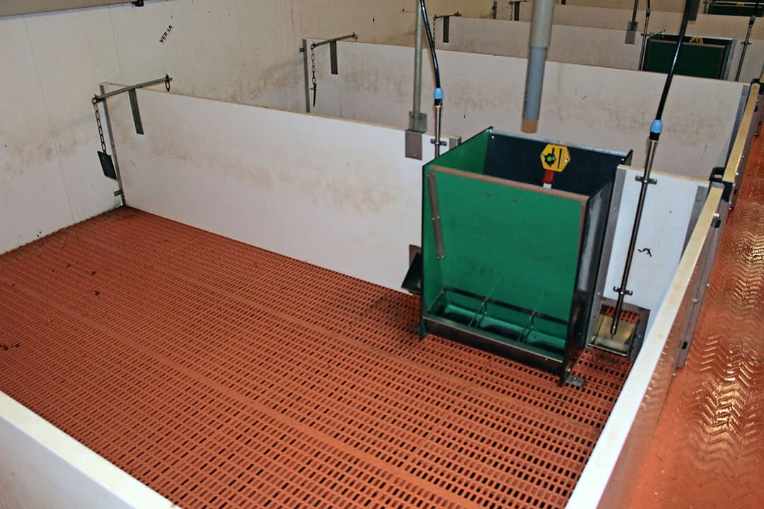 In stal 2 bevinden zich alle biggenafdelingen. Dit zijn er 24 die elk plaats bieden aan 300 biggen (totale capaciteit 7.200 biggen). In de stal bevinden zich verder een dragende zeugengedeelte en een kantoor/hygiënesluis. - Foto: Adriaan van den Heuvel makelaars en adviseurs