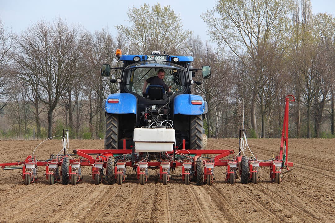 Samen met zijn zakelijke partner Ruud Lenders teelt Robin Peeters tussen de 20 en 25 verschillende preirassen. Op basis van de bestellingen van de afnemers zaaien ze de rassen uit. In de loop van het jaar gaan de jonge plantjes naar biologische preitelers in heel West-Europa.