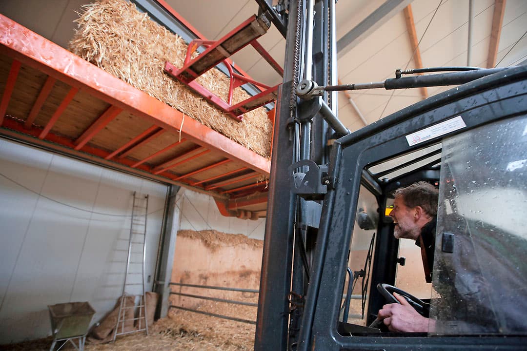 Luring bouwde eind 2015 een Roundhouse 45. Deze stal met diameter van 45 meter was indertijd de grootste in Nederland. Luring koos voor een vrijloop, omdat hij vaste mest wilde en dus moest er een potstal komen. De stal was inclusief inrichting en exclusief melkstal met ¬ 275 per m² aan de prijs, maar de stalopzet past bij de biologische bedrijfsvoering van Luring.