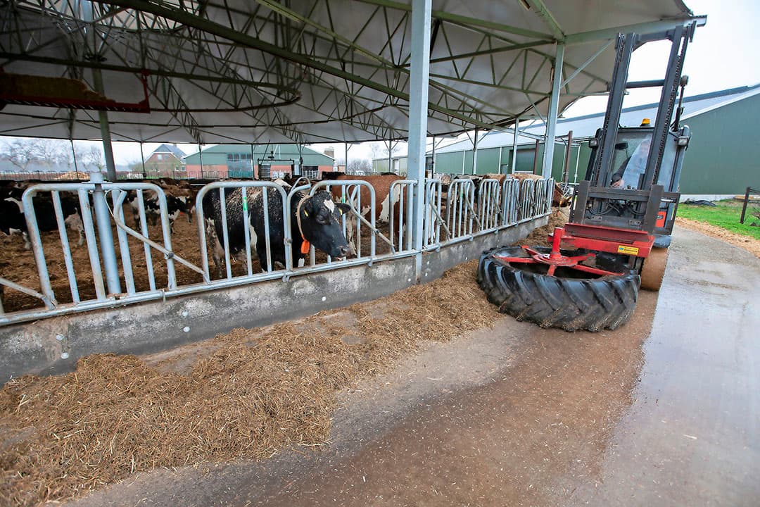 Luring schuift het voer aan. De ronde voergang rondom de roundhouse is 4 meter breed. De  paraplu  zit ook hoog genoeg. Luring kan er met de machine makkelijk onderdoor.