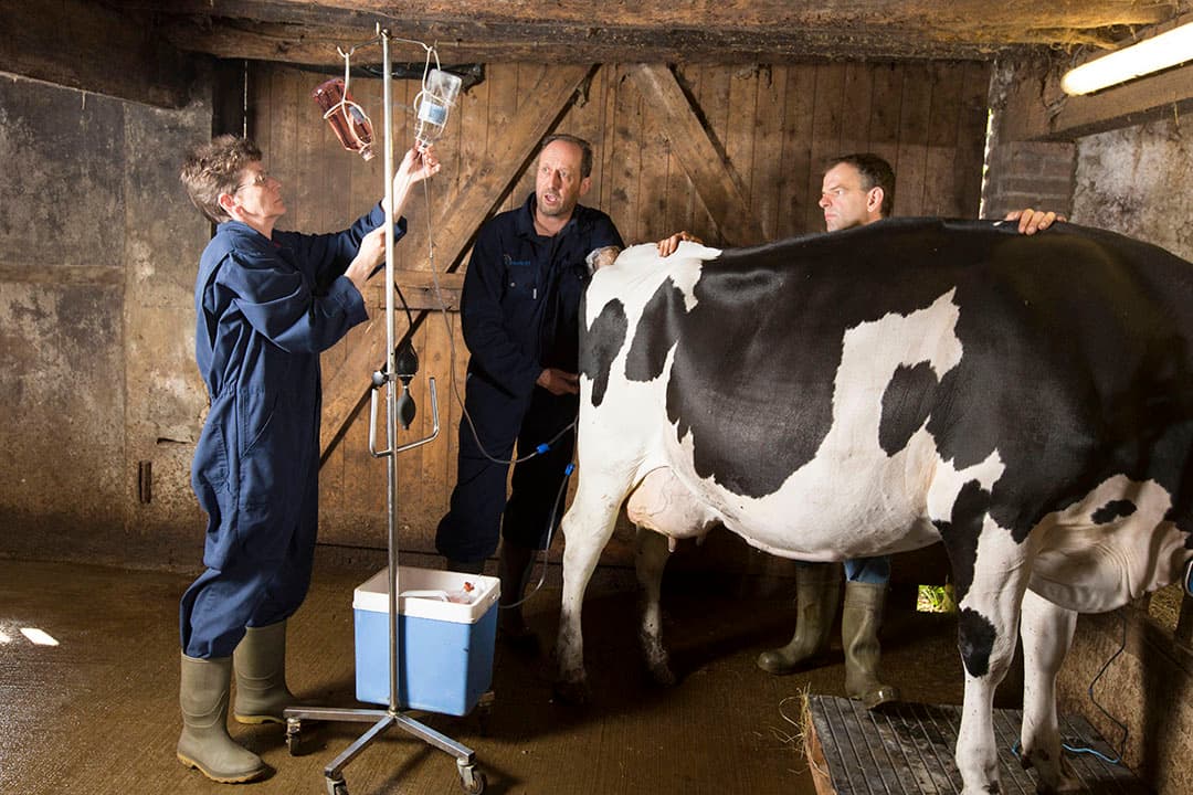 Foto: Koos Groenewold