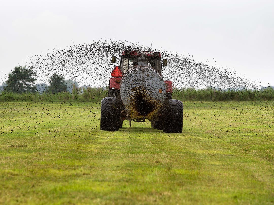 Foto: Anne van der Woude