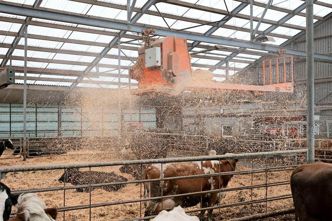 Foto: Jan Willem van Vliet