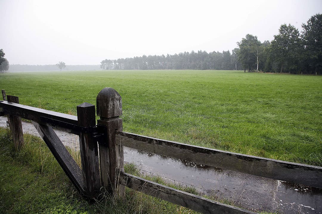Foto: Hans Prinsen