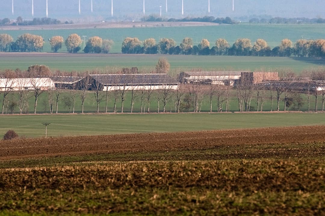 Foto: Ronald Hissink