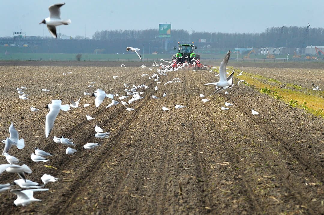 Het zaaien van bieten. Een vroege start kent seizoen 2019 niet.