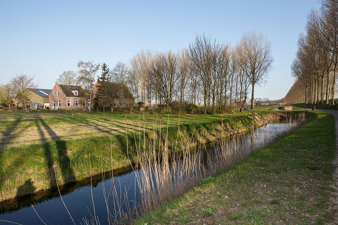 Foto's: Peter Roek
