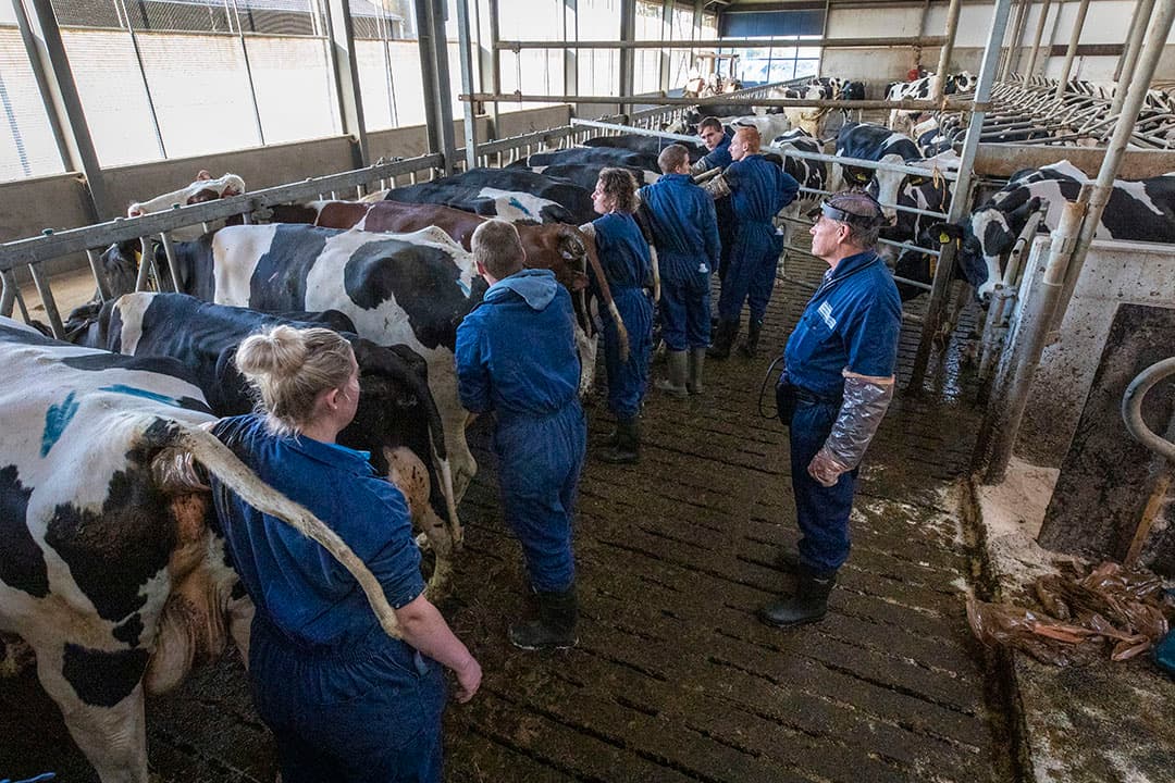 Foto: Anne van der Woude