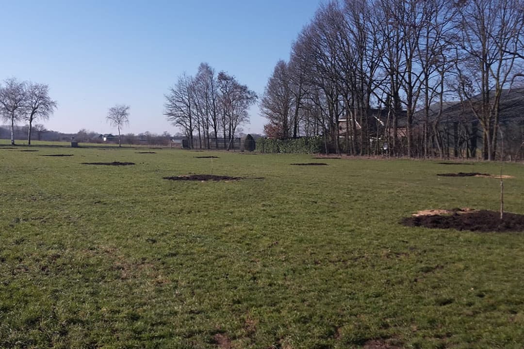 Foto: Piet Rombouts