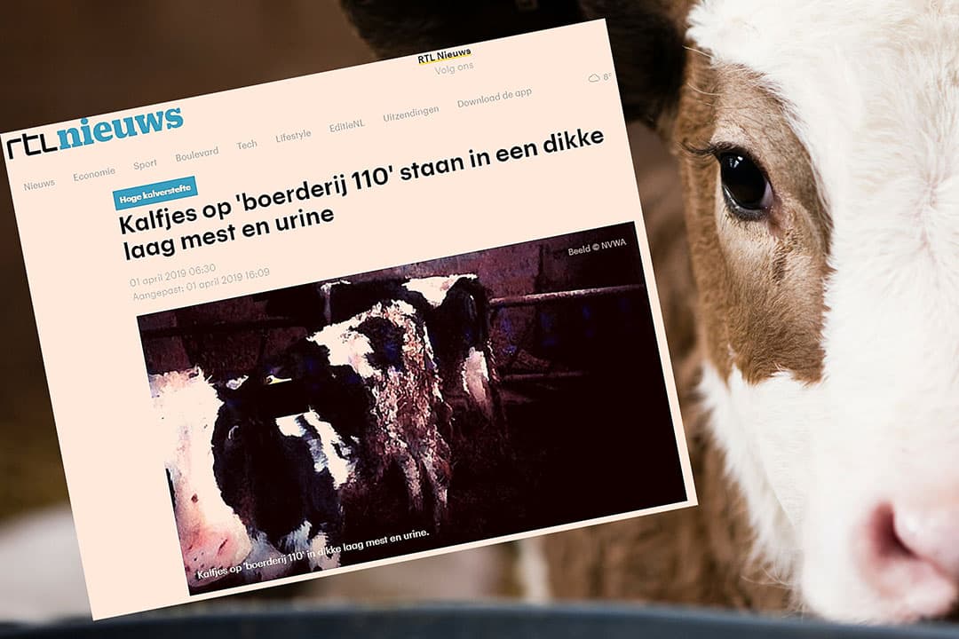 Afbeelding: Canva en screenshot rtlnieuws.nl